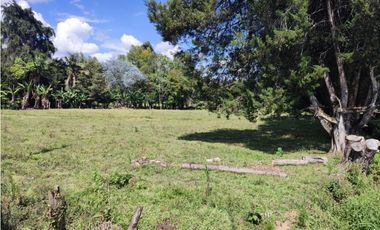 terreno industrial para venta Rionegro  Antioquia 10 Hectáreas