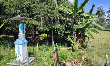 terreno industrial para venta Rionegro  Antioquia 10 Hectáreas