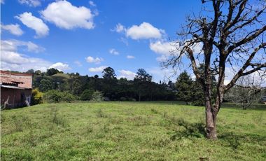 terreno industrial para venta Rionegro  Antioquia 10 Hectáreas