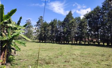 terreno industrial para venta Rionegro  Antioquia 10 Hectáreas