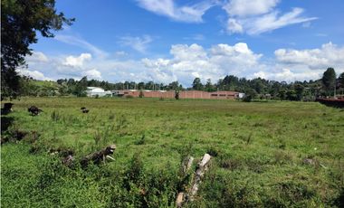 terreno industrial para venta Rionegro  Antioquia 10 Hectáreas