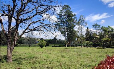 terreno industrial para venta Rionegro  Antioquia 10 Hectáreas