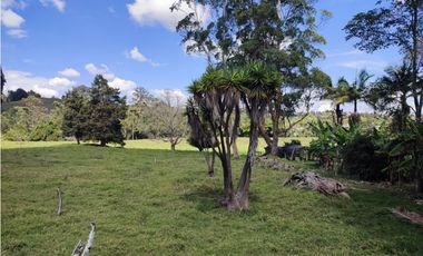 terreno industrial para venta Rionegro  Antioquia 10 Hectáreas