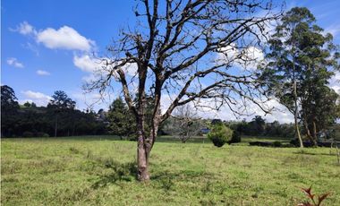 terreno industrial para venta Rionegro  Antioquia 10 Hectáreas