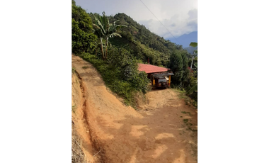 Venta  De Finca Cafetera  En Ciudad Bolívar - Antioquia