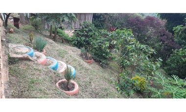 Venta  De Finca Cafetera  En Ciudad Bolívar - Antioquia