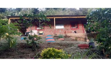 Venta  De Finca Cafetera  En Ciudad Bolívar - Antioquia