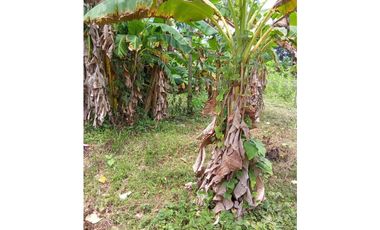 SE VENDEN LOTES PARA PROYECTO CAMPESTRE EN LAS LLANADAS – SAHAGÚN