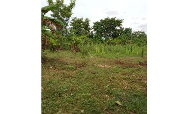 SE VENDEN LOTES PARA PROYECTO CAMPESTRE EN LAS LLANADAS – SAHAGÚN