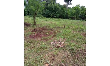 SE VENDEN LOTES PARA PROYECTO CAMPESTRE EN LAS LLANADAS – SAHAGÚN