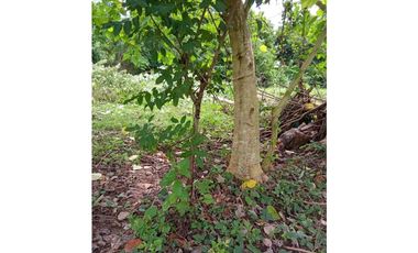 SE VENDEN LOTES PARA PROYECTO CAMPESTRE EN LAS LLANADAS – SAHAGÚN