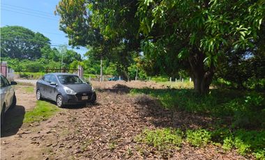 2 HECTAREAS SOBRE CARRETERA PUERTO MADERO MUY CERCA DE NUEVO HOSPITAL