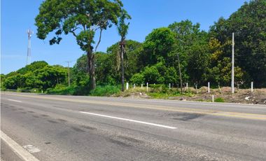 2 HECTAREAS SOBRE CARRETERA PUERTO MADERO MUY CERCA DE NUEVO HOSPITAL