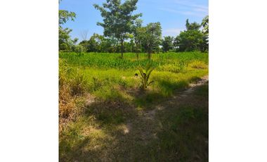 4.8 HECTAREAS CON E.P. LISTA PARA ESCRITURAR CARR. PTO MDRO. Y LIBR.