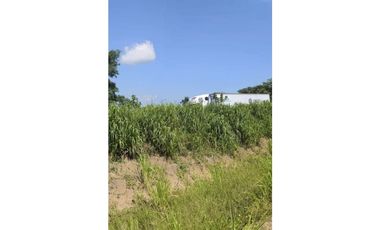 1.18 HECTAREAS EN CARRETERA CD. HIDALGO