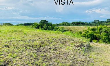 Se Vende Lote en la vereda la Caña, Alcalá, Valle AF