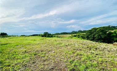Se Vende Lote en la vereda la Caña, Alcalá, Valle AF