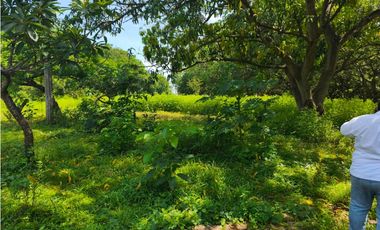 33 HECTAREAS DE TERRENO SOBRE CARRETERA PUERTO MADERO