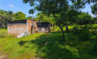 33 HECTAREAS DE TERRENO SOBRE CARRETERA PUERTO MADERO
