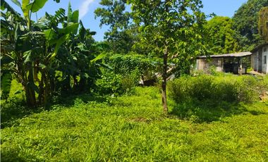 33 HECTAREAS DE TERRENO SOBRE CARRETERA PUERTO MADERO