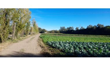 HERMOSO LOTE 16.988 M2 VILLA RETIRO CORDOBA CAPITAL