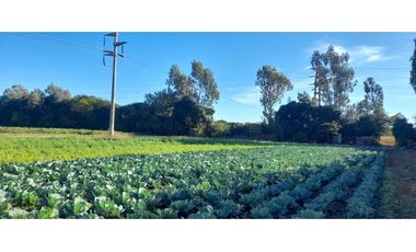 HERMOSO LOTE 16.988 M2 VILLA RETIRO CORDOBA CAPITAL