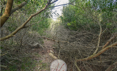 Lote Senderos 2 - Costa Esmeralda