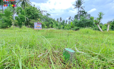 Dijual Tanah Kavling Prospek di Belakang Hotel Ilra - Banyuwangi