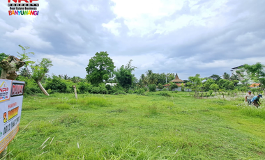 Dijual Tanah Kavling Prospek di Belakang Hotel Ilra - Banyuwangi