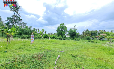 Dijual Tanah Kavling Prospek di Belakang Hotel Ilra - Banyuwangi