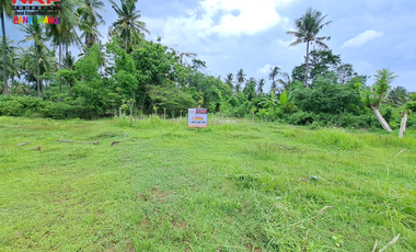 Dijual Tanah Kavling Prospek di Belakang Hotel Ilra - Banyuwangi