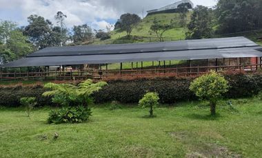 Terreno en Venta Ubicado en Guarne Codigo 722