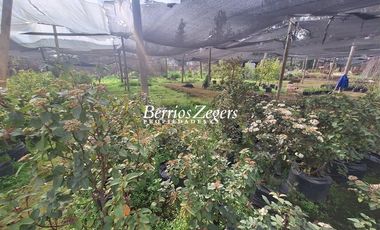 Terreno Construccion  en Venta en Piedra Roja