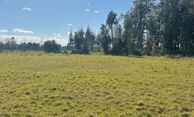 Espectacular terreno en parcelación «Raíces de Frutillar»