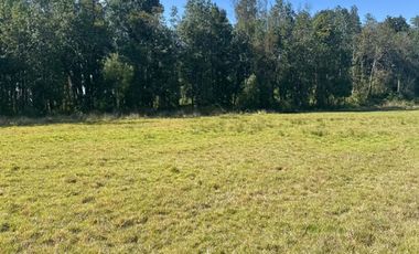 Espectacular terreno en parcelación «Raíces de Frutillar»