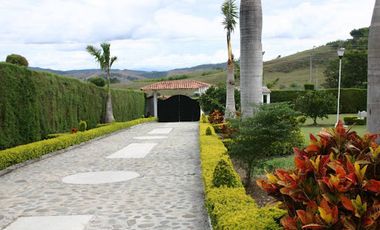 VENTA de FINCAS en CALIMA EL DARIEN