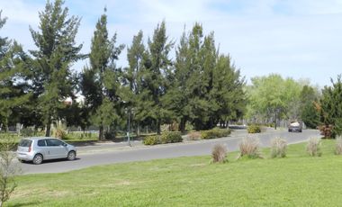 VENTA, TERRENO, SAN SEBASTIAN, AREA 13, LOTE AL 50
