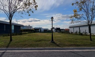 VENTA, TERRENO, SAN SEBASTIAN, AREA 13, LOTE AL 50