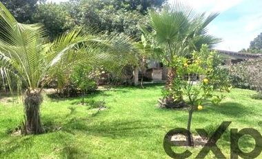 Se vende casa independiente en Natabuela de un solo andar de 1536m2.