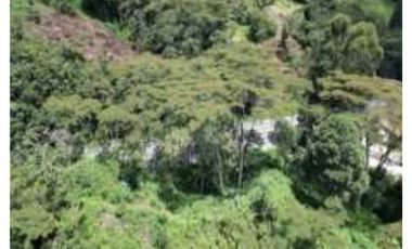 Venta de lote industrial de alto impacto en Copacabana