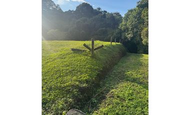 Venta de lote en Conjunto Abedules en Circasia Quindio