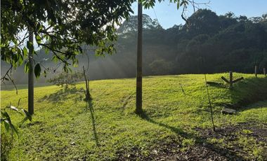 Venta de lote en Conjunto Abedules en Circasia Quindio