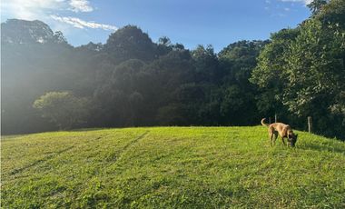 Venta de lote en Conjunto Abedules en Circasia Quindio