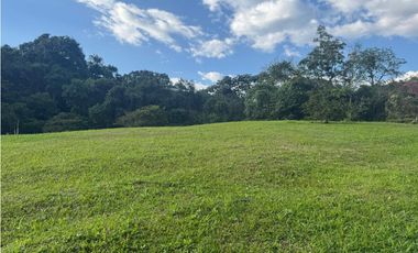 Venta de lote en Conjunto Abedules en Circasia Quindio