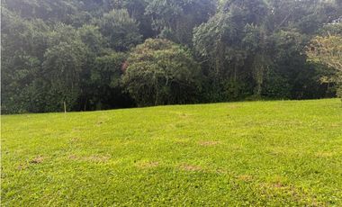 Venta de lote en Conjunto Abedules en Circasia Quindio