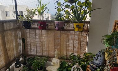 Hermoso Apartamento En Venta Ciudad Gabinas