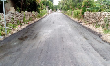 Lotes industriales en Kinchil, Yucatán a pie de carretera