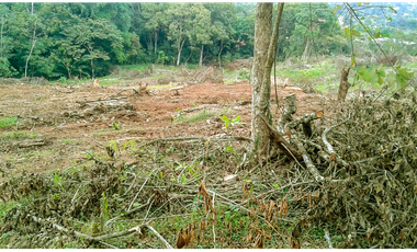 Oportunidad de Inversión, Se Vende Terreno de 40,242m2 Las Cumbres