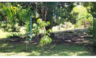VENTO TERRENO EN SAN CARLOS CERCA A LA PLAYA CON TITULO