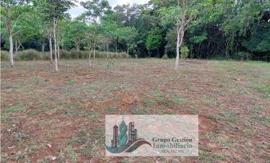 VENTA DE TERRENO EN POTRERILLO ABAJO 8,500 METROS TITULADOS